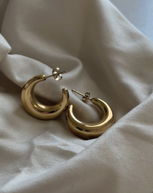 Luciana Earrings