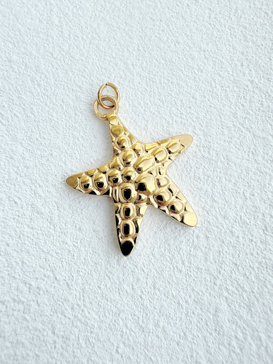 Sea Star Charm