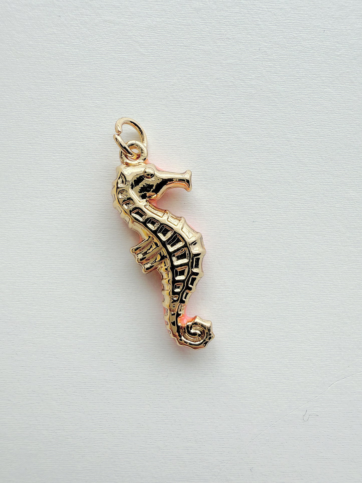 Caballito Coral Charm