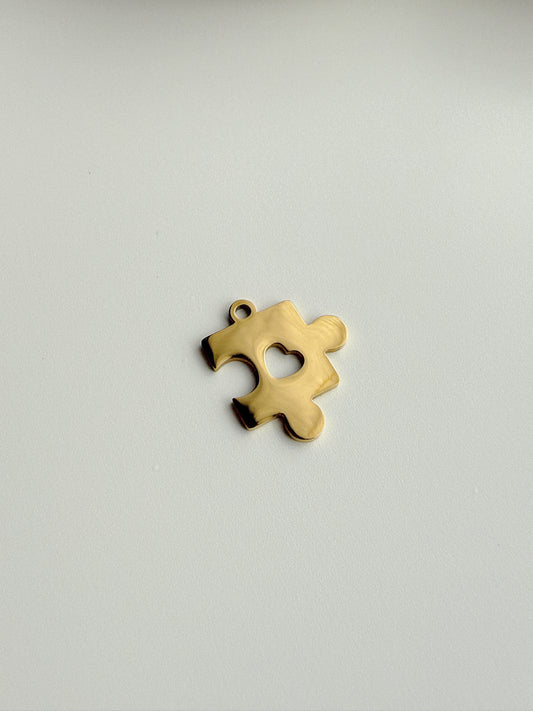 AUTISMO CHARM