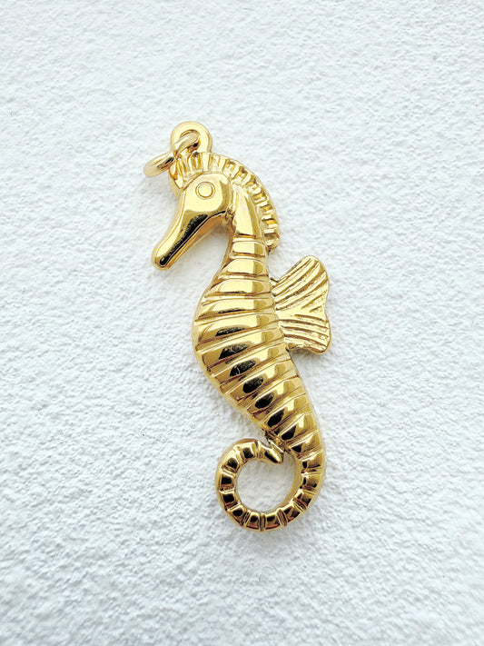 Caballito de Mar Charm