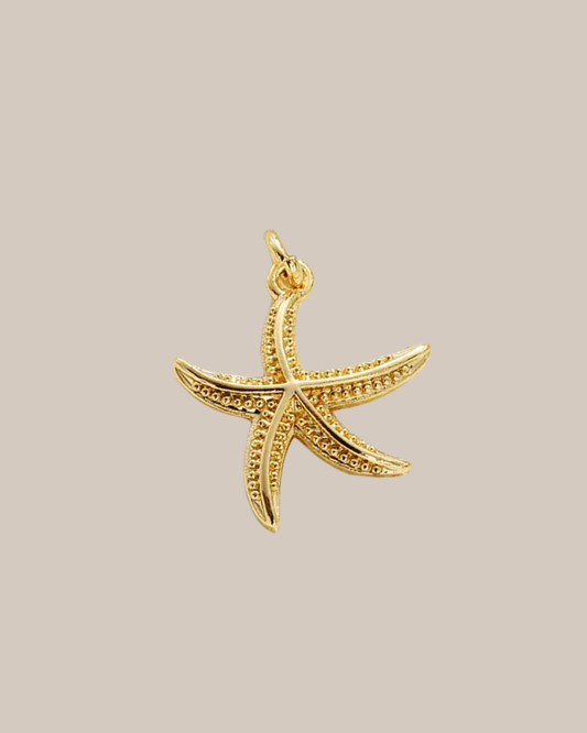 MINI GOLD STAR