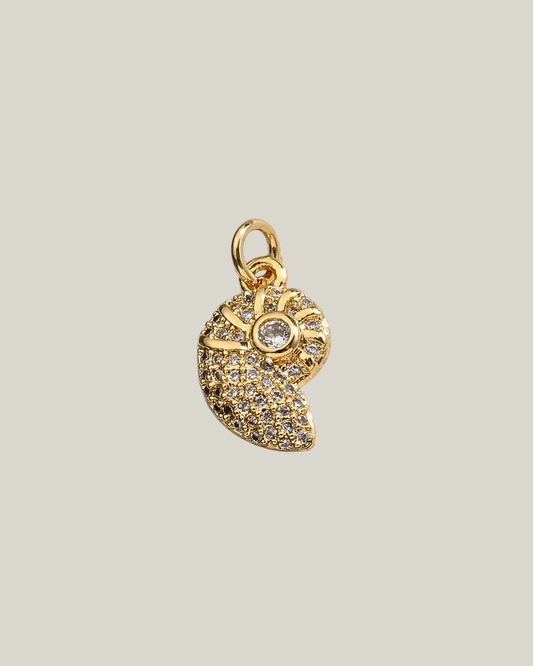 CARACOL ZIRCON